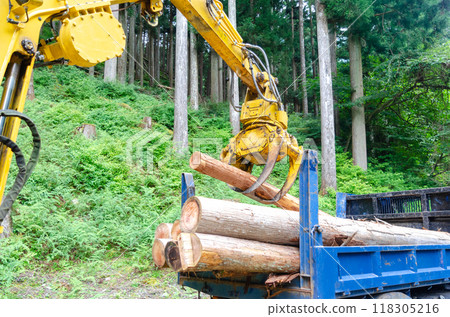 Wood for biomass fuel loaded onto a wood transport truck 118305216