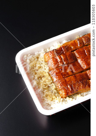 Eel bento photographed against a black background Eel bento photographed against a black background 118305603