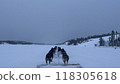 跑在多雪的領域的狗 118305618