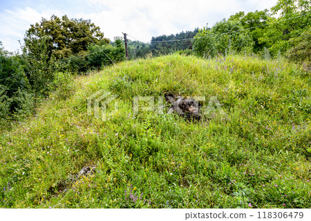 overgrown hill in mountain forest in Dilijan overgrown hill in mountain forest in Dilijan 118306479