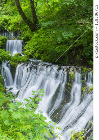 輕井澤的人氣景點白絲瀑布 輕井澤的人氣景點白絲瀑布 118306715