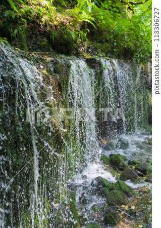 Shiraito Falls, a popular spot in Karuizawa Shiraito Falls, a popular spot in Karuizawa 118306727