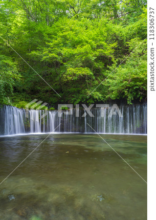 Shiraito Falls, a popular spot in Karuizawa 118306737