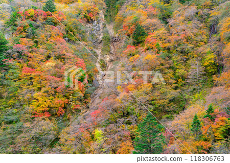 山腰與秋葉的景色 山腰與秋葉的景色 118306763