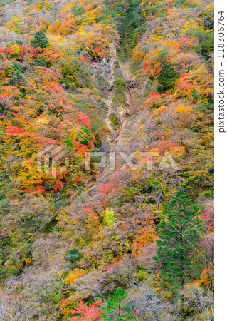 山腰與秋葉的景色 山腰與秋葉的景色 118306764