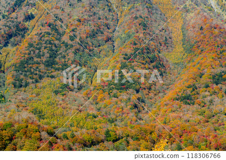 山腰與秋葉的景色 山腰與秋葉的景色 118306766