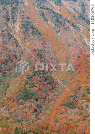 Looking out over the autumn leaves on the mountainside 118306768