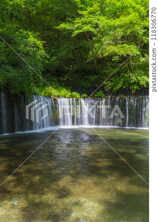 Shiraito Falls, a popular spot in Karuizawa 118306770