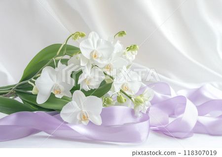 蝴蝶蘭 蝴蝶蘭 118307019