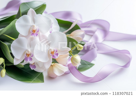 Phalaenopsis orchid Phalaenopsis orchid 118307021
