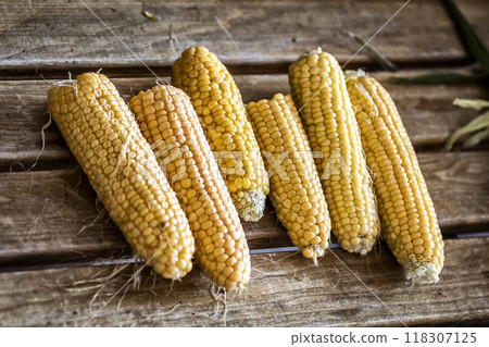 Corn cobs close up Corn cobs close up 118307125