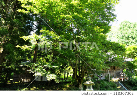 Fukushima Prefecture Minamiaizu District Shimogo Town Okuaizu Thirty-Three Kannon Temples, 10th Temple Daihiden Ono Kannon 118307302