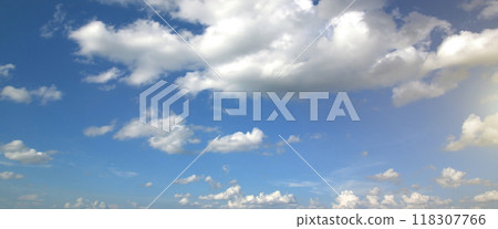 The vast blue sky 118307766