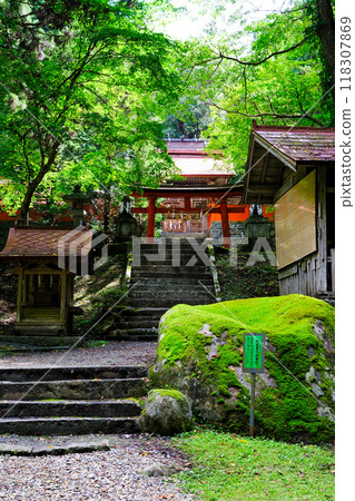苔蘚腐竹石（立式） 118307869