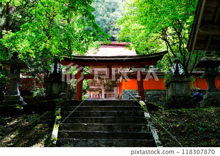石階、四座鳥居、神社大門 石階、四座鳥居、神社大門 118307870