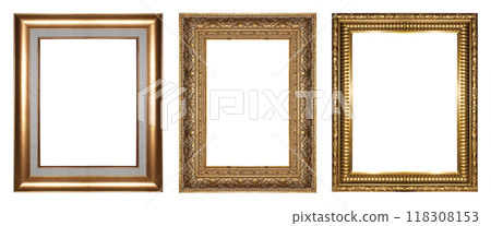 Gold Picture Frame 118308153