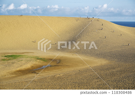 Tottori Prefecture in summer: Tottori Sand Dunes oasis and tourists Tottori Prefecture in summer: Tottori Sand Dunes oasis and tourists 118308486