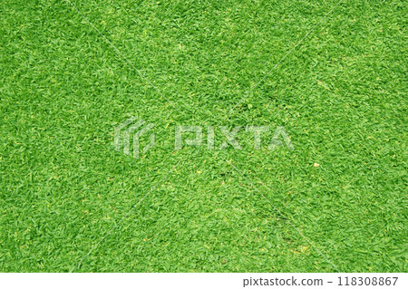 Green grass background 118308867