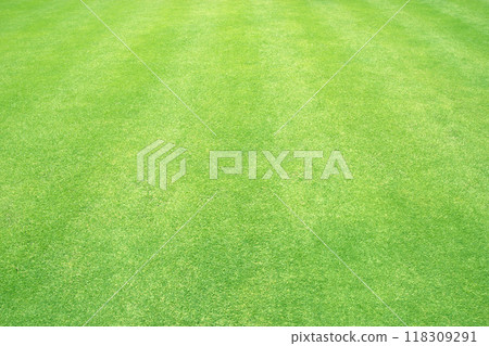 Green grass background 118309291