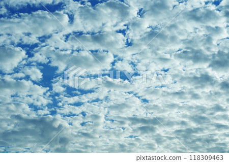 Clouds Clouds 118309463