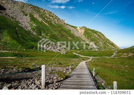 Summer scenery of Mt. Norikura 118309651