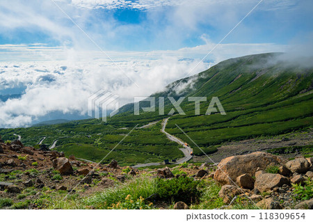 Summer scenery of Mt. Norikura 118309654
