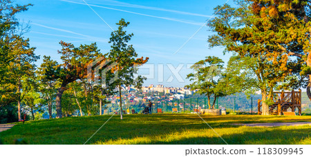 A rustic wooden lookout structure stands at Branik Rocks Natural Park, framed by lush trees under a clear blue sky, offering a scenic view of the surrounding landscape. Prague, Czechia 118309945
