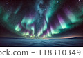 Aurora night sky and snowy fields 118310349
