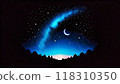 Starry Moon Night 118310350
