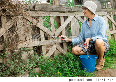 mature woman at farm 118310647