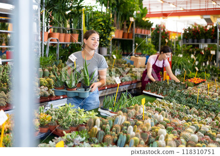 Smiling girl choosing ornamental potted aloe vera in greenhouse 118310751
