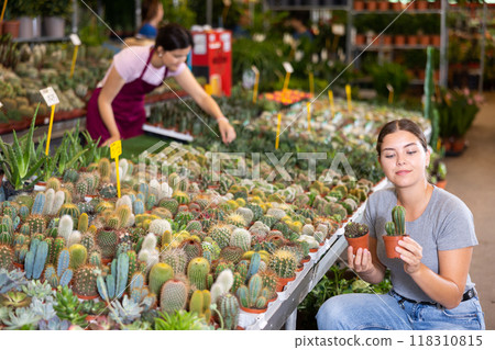 Young girl choosing ornamental cacti in pots in flower store 118310815