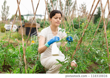 Asian woman spraying tomatoes 118310816