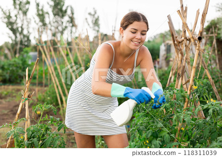 young girl in summer dress spraying tomatoes 118311039