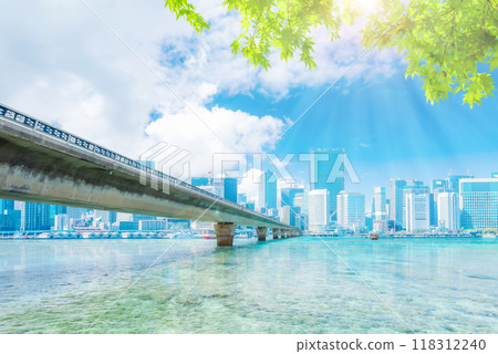Bridges connecting Tokyo's big city Bridges connecting Tokyo's big city 118312240