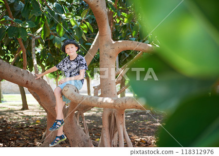 Carefree Young Male Child Climbing Tropical Tree Sunny Summer Day Outdoor Adventure Family Holiday Travel Destination Boyhood Fun 118312976