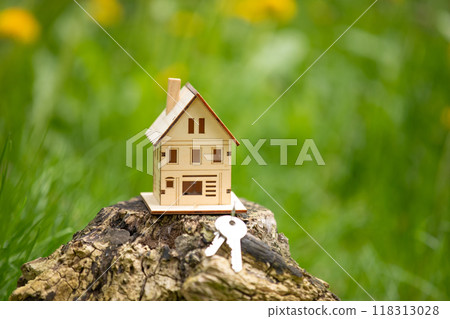 Model house and keys in the meadow with grass Model house and keys in the meadow with grass 118313028