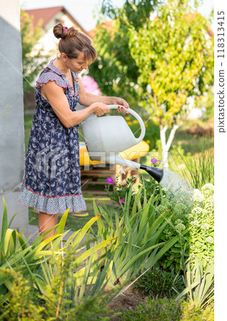 woman watering garden with watering can in summer woman watering garden with watering can in summer 118313415