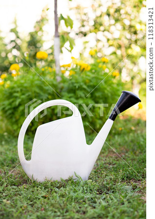 Watering can on the green grass in the garden 118313421