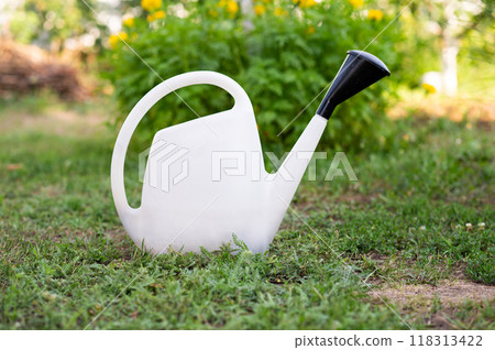 Watering can on the green grass in the garden 118313422
