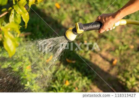 a woman's hand waters plants in the garden with a hose. 118313427