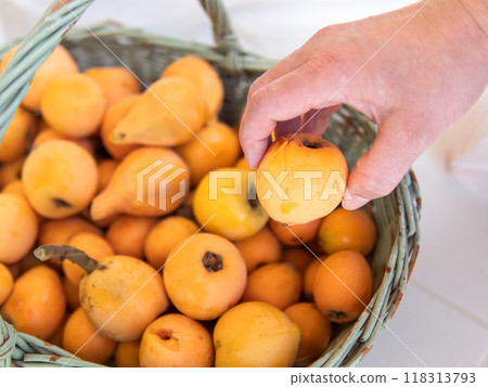 Hand selecting fresh loquats from wicker basket 118313793