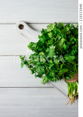bunch of fresh Cilantro, on a white wooden table, close-up, top view, no people. 118313946