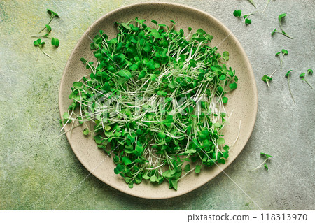 fresh micro-greenery, on a plate, top view, no people, fresh micro-greenery, on a plate, top view, no people, 118313970