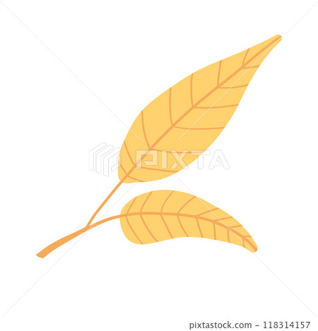 Yellow fall leaf illustration with a clean, minimalist design. Ideal for seasonal content, botanical themes, and bright, playful autumn visuals focused on nature 118314157