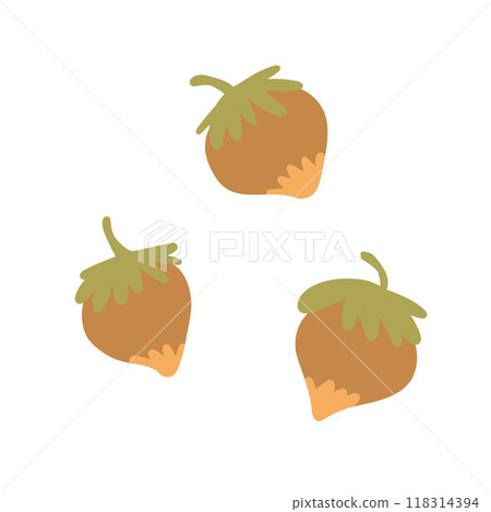 Autumn chestnuts in green spiky shells, perfect for fall-themed designs, harvest festival promotions, or healthy snack packaging Autumn chestnuts in green spiky shells, perfect for fall-themed designs, harvest festival promotions, or healthy snack packaging 118314394