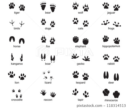 Set of footprints of wild animals, illustration of black silhouette Set of footprints of wild animals, illustration of black silhouette 118314513