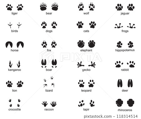Set of footprints of wild animals, illustration of black silhouette Set of footprints of wild animals, illustration of black silhouette 118314514