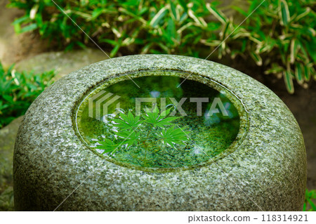 長足缽智美路青葉 舊齋藤家別墅庭園 國家指定名勝 長足缽智美路青葉 舊齋藤家別墅庭園 國家指定名勝 118314921