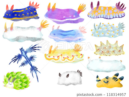 Illustrations of various sea slugs, hand-drawn, watercolor style Illustrations of various sea slugs, hand-drawn, watercolor style 118314957